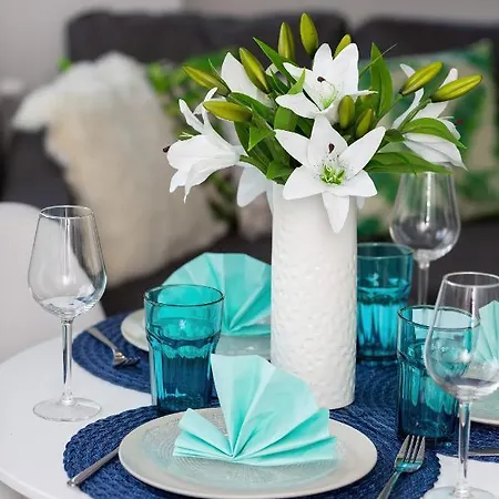 Apartment Deluxe Center By Renters *