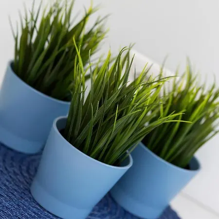 Deluxe Center By Renters 公寓 *